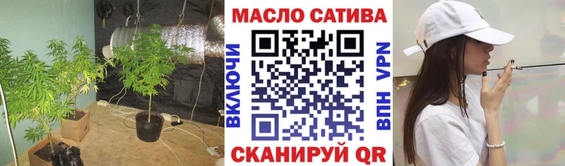 ТГК концентрат  Купить где  Алзамай 