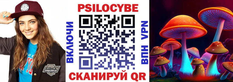 Галлюциногенные грибы Psilocybe  Купить где  Алзамай 